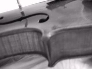 violin f-hole
